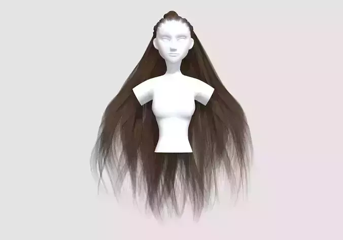 Big Long Hairstyle 