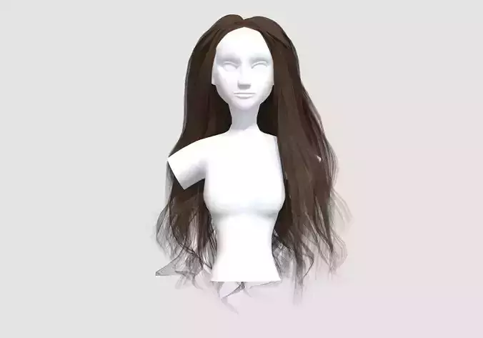Basic Long Hairstyle 