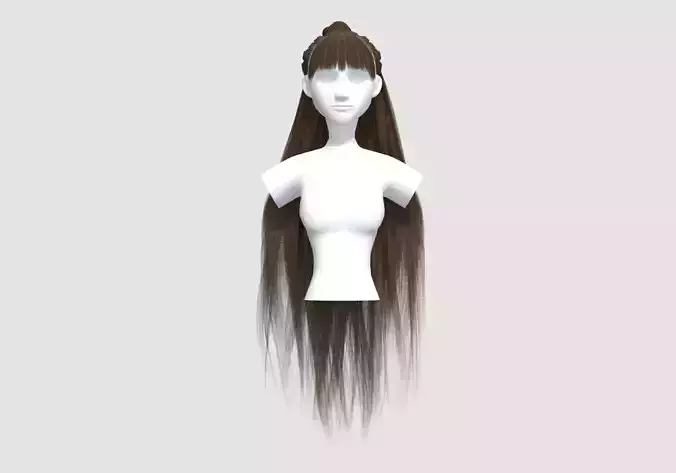 Bangs Pigtail Hairstyle 