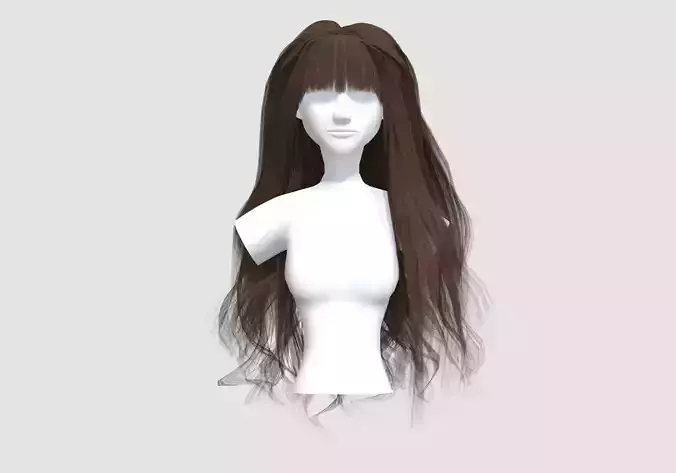 Bangs Long Hairstyle 