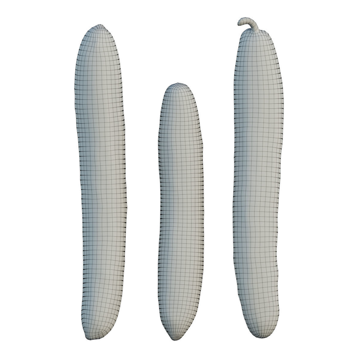 Japanese Cucumber 3D model_1