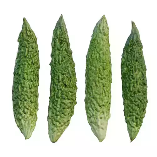 Japanese bitter melon