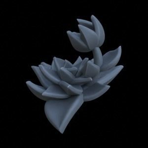 9 SUCCULENT PLANTS FOR TERRAIN DIORAMA TABLETOP 1-35 3D print model_4