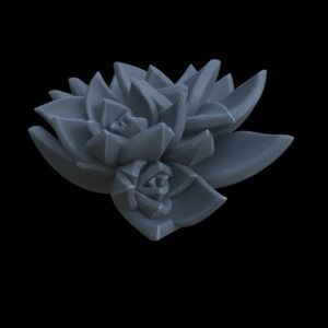 9 SUCCULENT PLANTS FOR TERRAIN DIORAMA TABLETOP 1-35 3D print model_8