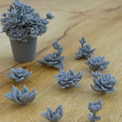 9 SUCCULENT PLANTS FOR TERRAIN DIORAMA TABLETOP 1-35 3D print model_0