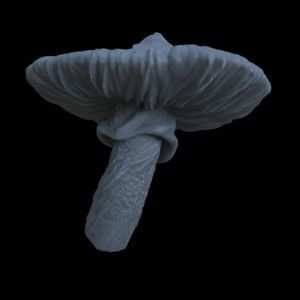 10 SPOTTED MUSHROOMS FOR TERRAIN DIORAMA TABLETOP 1-35 3D print model_19