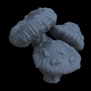 10 SPOTTED MUSHROOMS FOR TERRAIN DIORAMA TABLETOP 1-35 3D print model_16