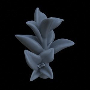 10 PEPPEROMIA PLANTS FOR TERRAIN DIORAMA TABLETOP 1-35 3D print model_9