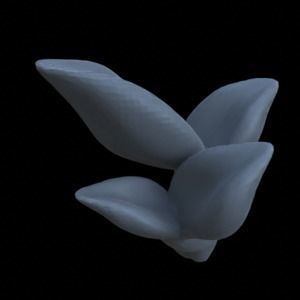 10 PEPPEROMIA PLANTS FOR TERRAIN DIORAMA TABLETOP 1-35 3D print model_2