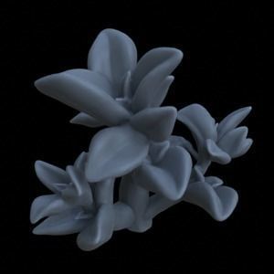 10 PEPPEROMIA PLANTS FOR TERRAIN DIORAMA TABLETOP 1-35 3D print model_19