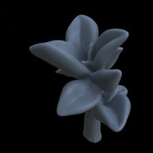 10 PEPPEROMIA PLANTS FOR TERRAIN DIORAMA TABLETOP 1-35 3D print model_1