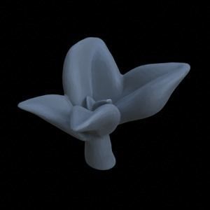 10 PEPPEROMIA PLANTS FOR TERRAIN DIORAMA TABLETOP 1-35 3D print model_11