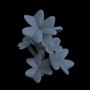 8 OXALIS CLOVER PLANTS FOR TERRAIN DIORAMA TABLETOP 1-35 3D print model_11