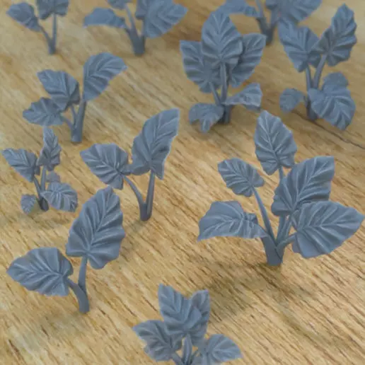 5 ALOCASIA PLANTS FOR TERRAIN DIORAMA TABLETOP 1-35 3D print model_0
