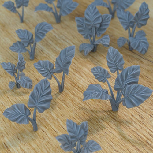 5 ALOCASIA PLANTS FOR TERRAIN DIORAMA TABLETOP 1-35 3D print model