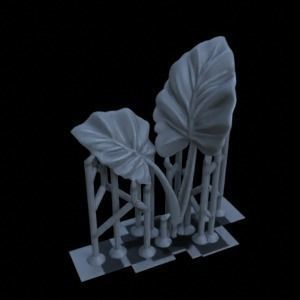5 ALOCASIA PLANTS FOR TERRAIN DIORAMA TABLETOP 1-35 3D print model_3