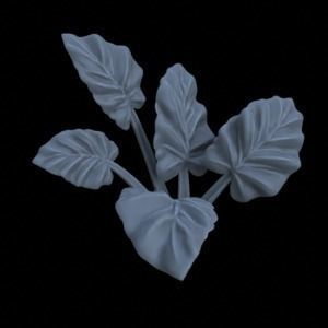 5 ALOCASIA PLANTS FOR TERRAIN DIORAMA TABLETOP 1-35 3D print model_11