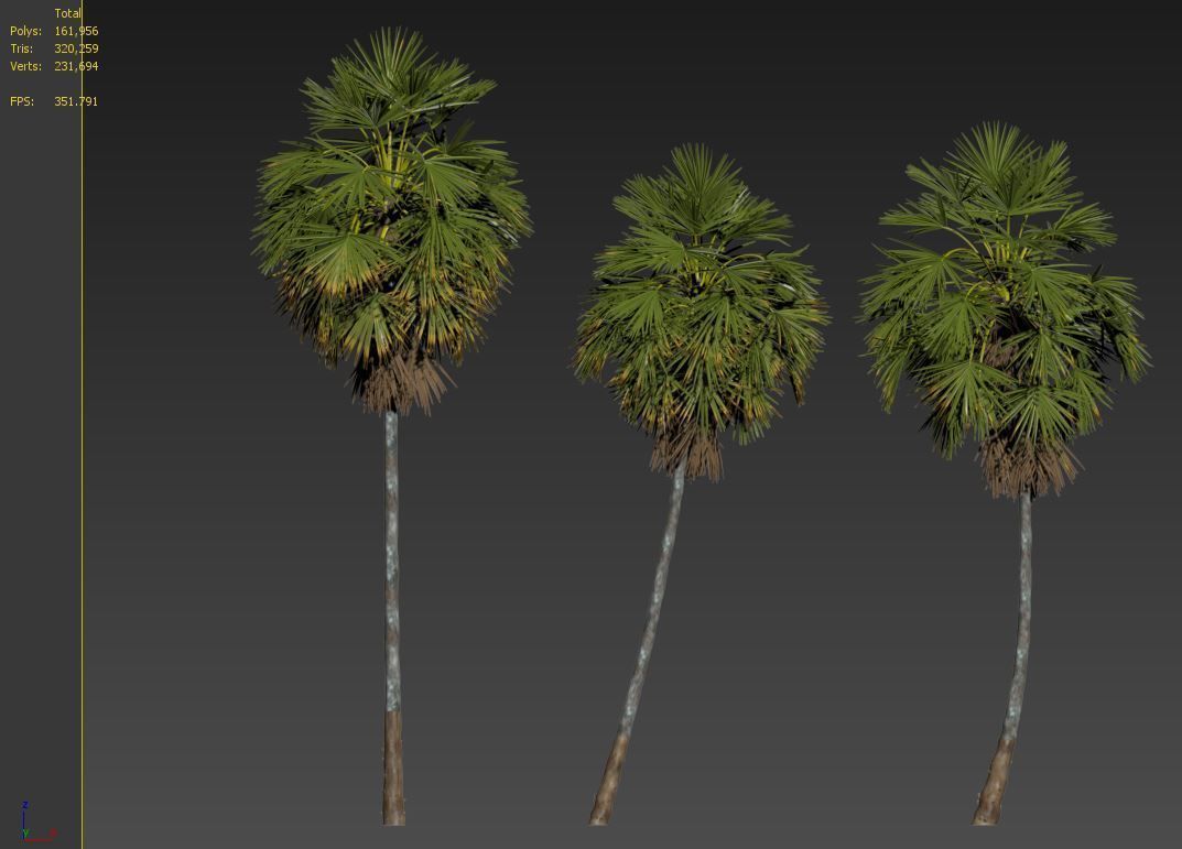 Sugar palm 3D model_8