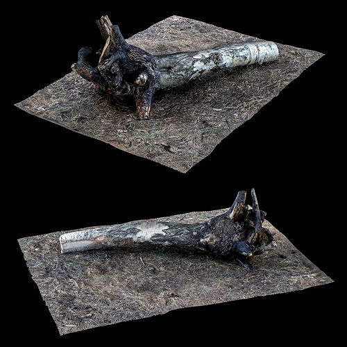 stump 002 Low-poly 3D model