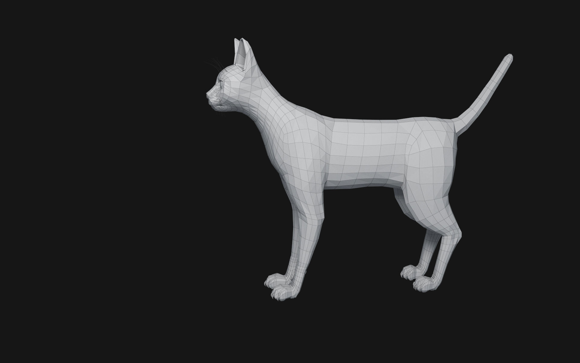 Bengal Cat 3D model_12