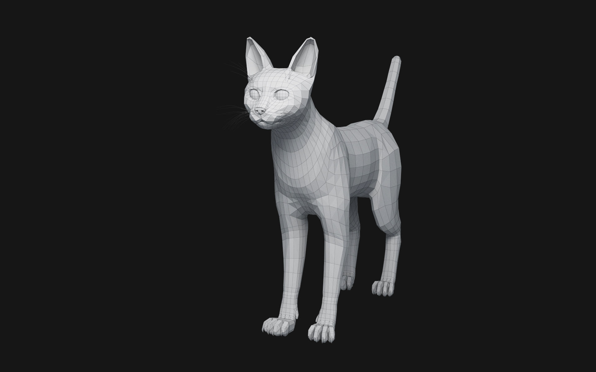Bengal Cat 3D model_11