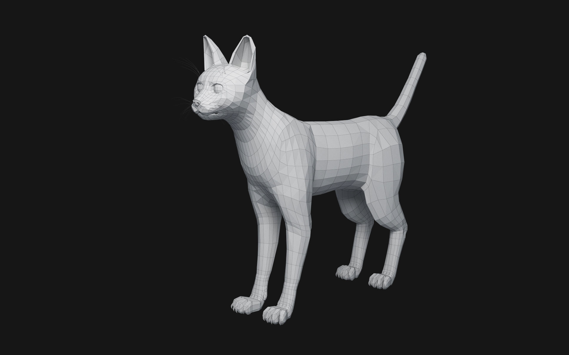 Bengal Cat 3D model_10