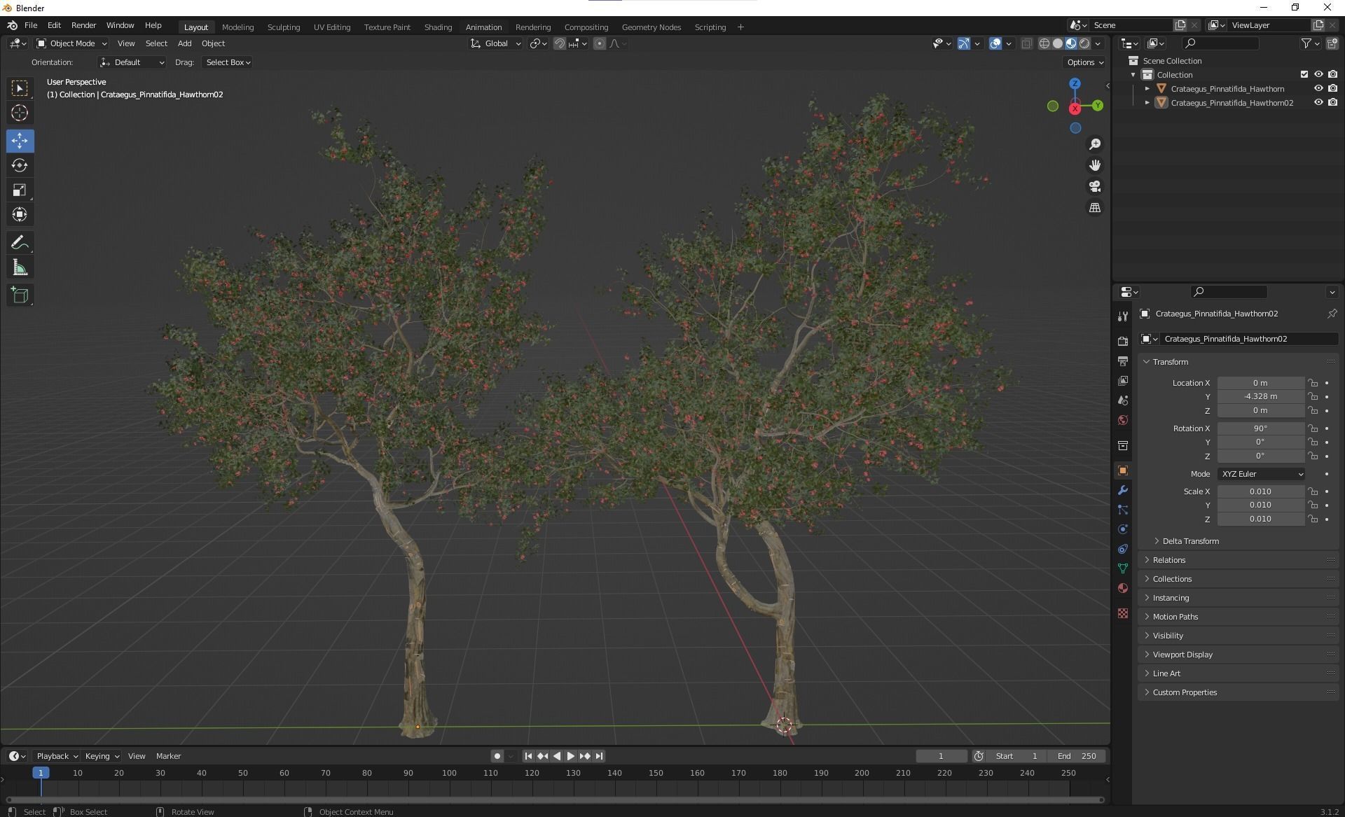 New Plant High detail Crataegus Pinnatifida Hawthorn 3D model_5