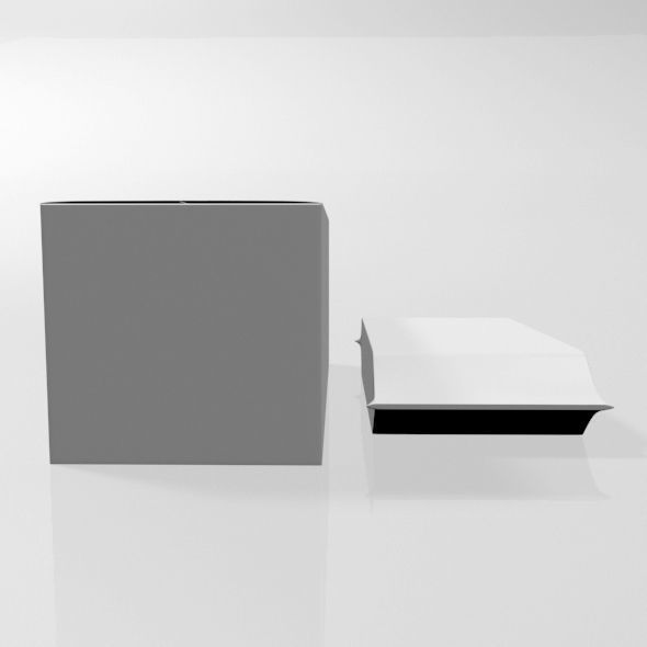 Baby Wipes 01 3D model_4