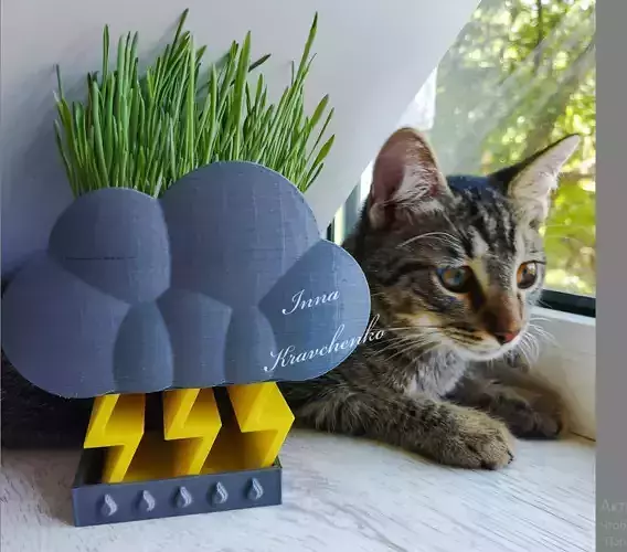 Thunder cloud planter