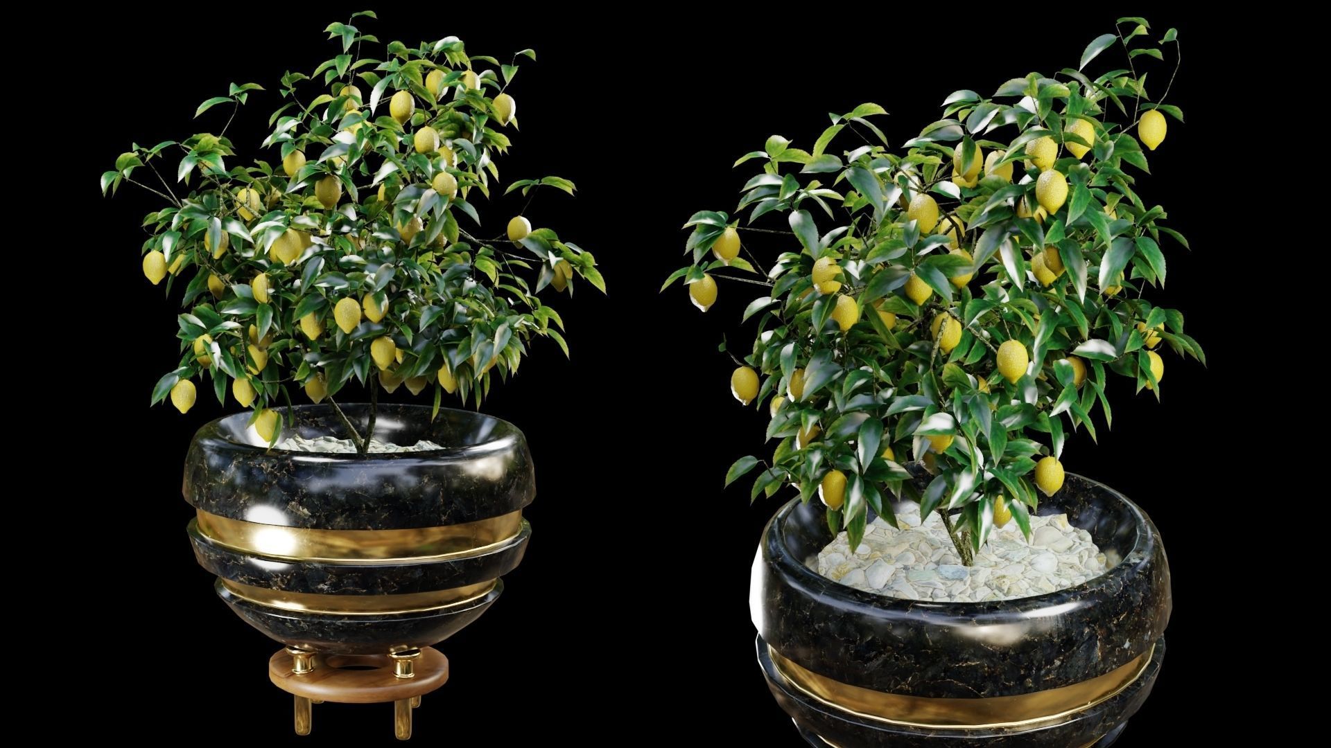 Modern Pots Pack Low-poly 3D model_19