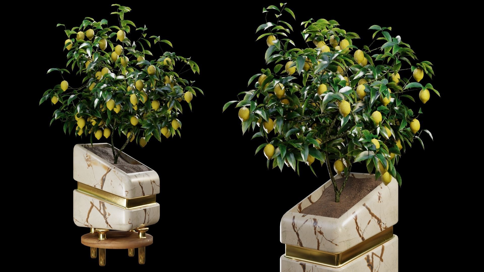 Modern Pots Pack Low-poly 3D model_16