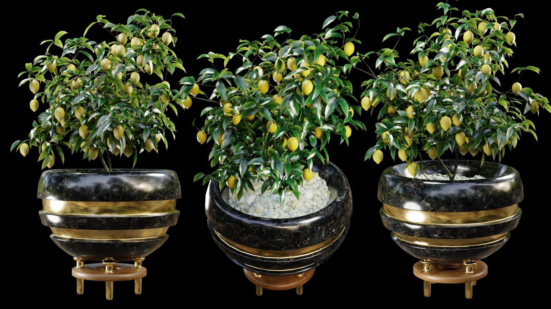 Modern Pots Pack Low-poly 3D model_8