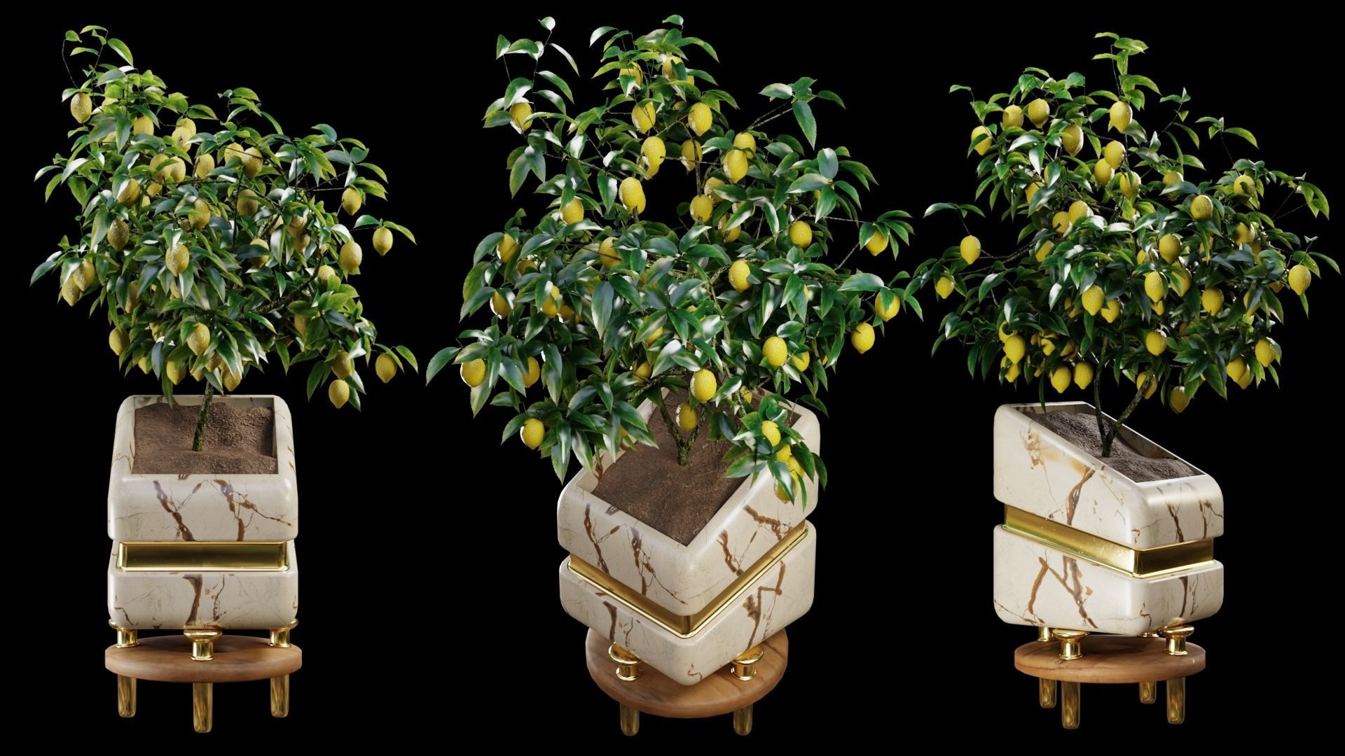 Modern Pots Pack Low-poly 3D model_5