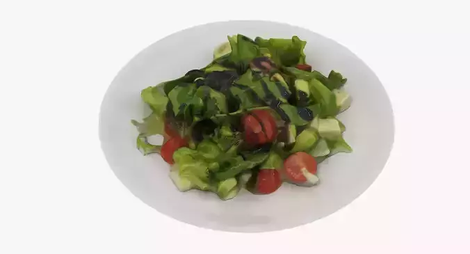 Plate of Salad 3D model