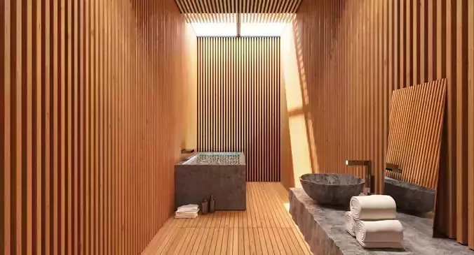 Spa Sauna Outdoor Bathroom