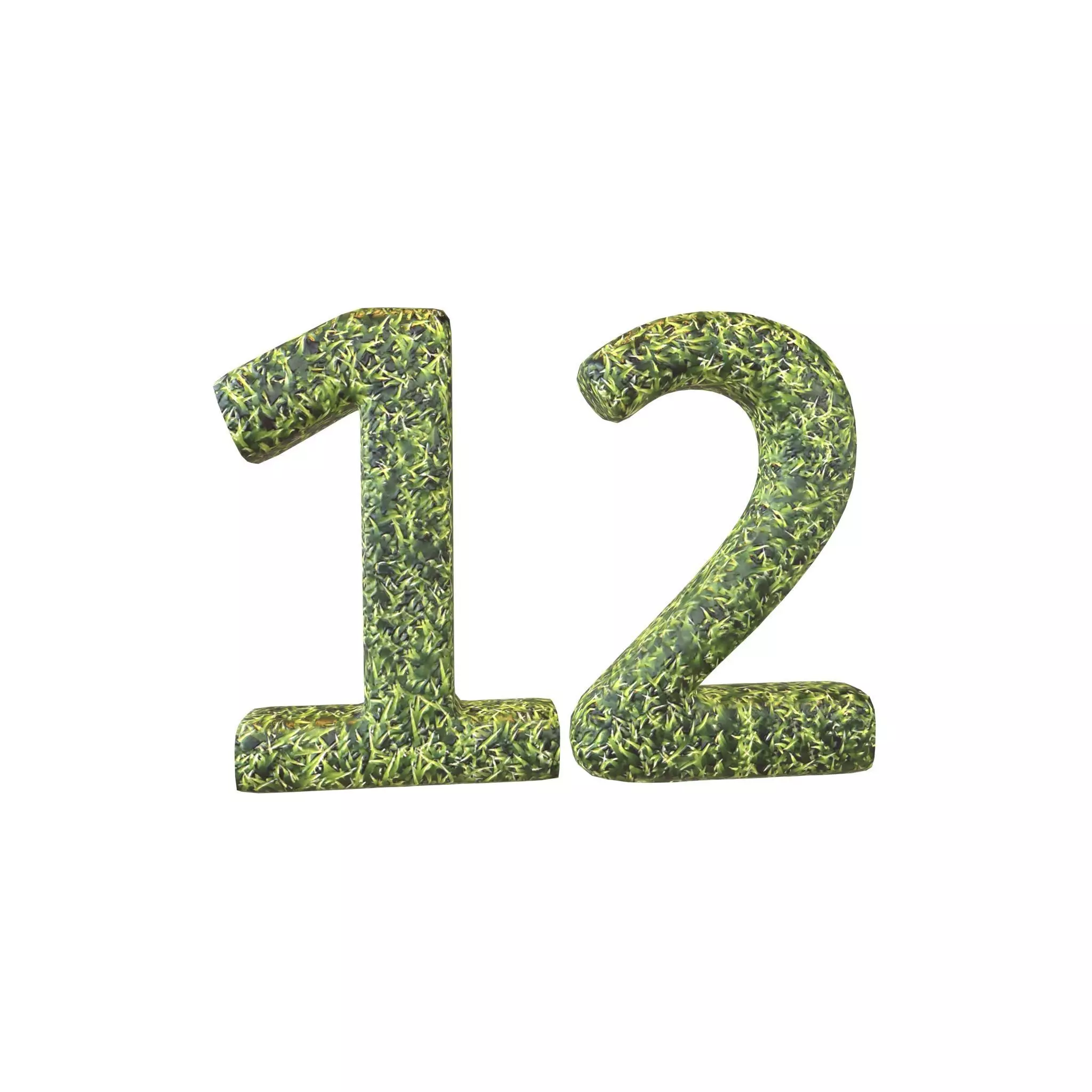 Grass Date Number 12 v2 001 Low-poly 3D model_0