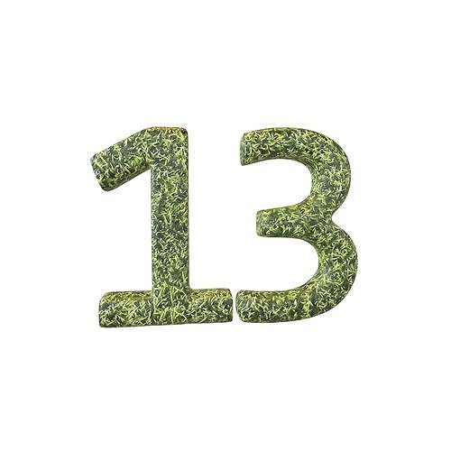 Grass Date Number 13 v2 001 Low-poly 3D model