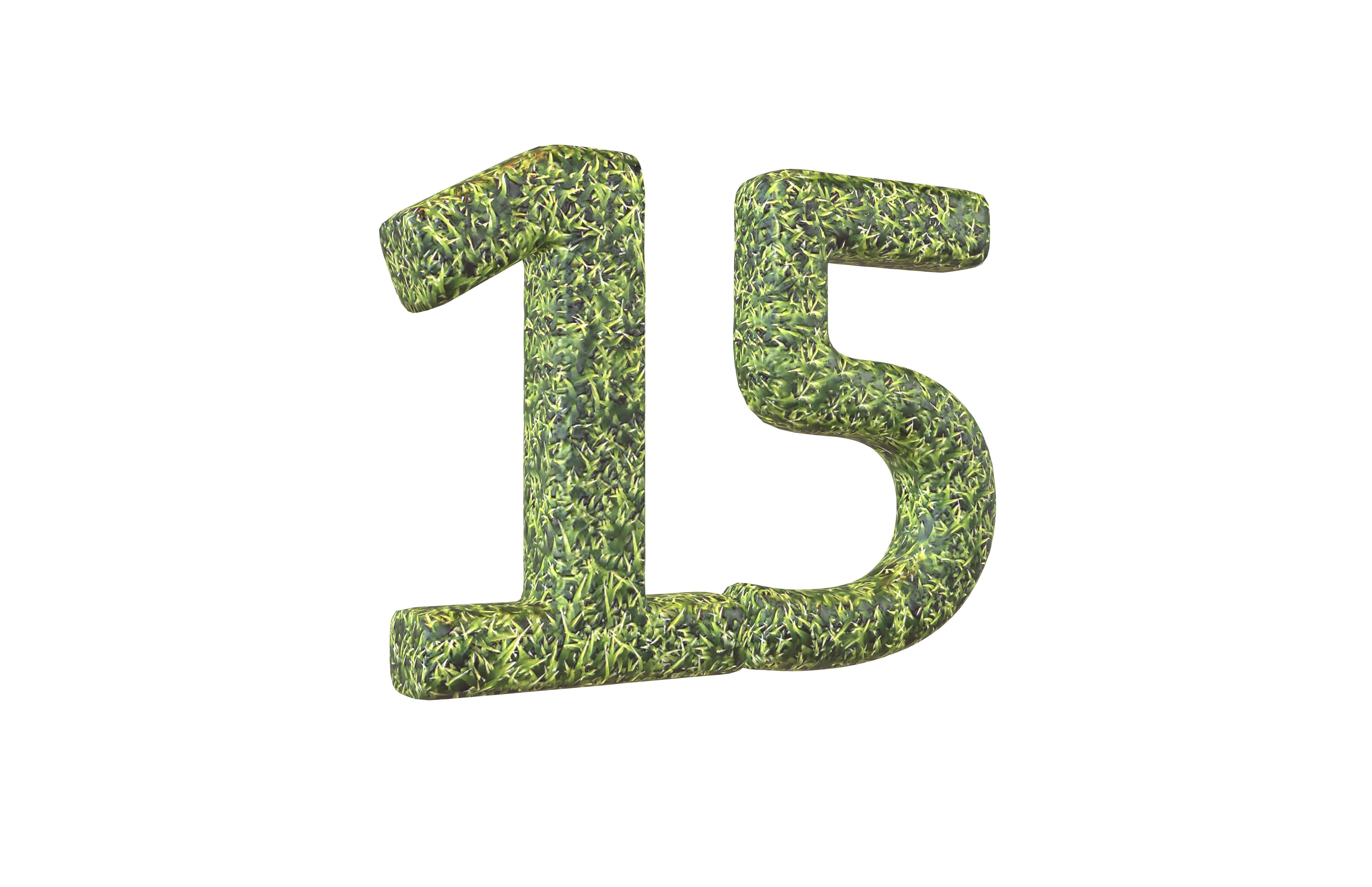 Grass Date Number 15 v2 001 Low-poly 3D model_1