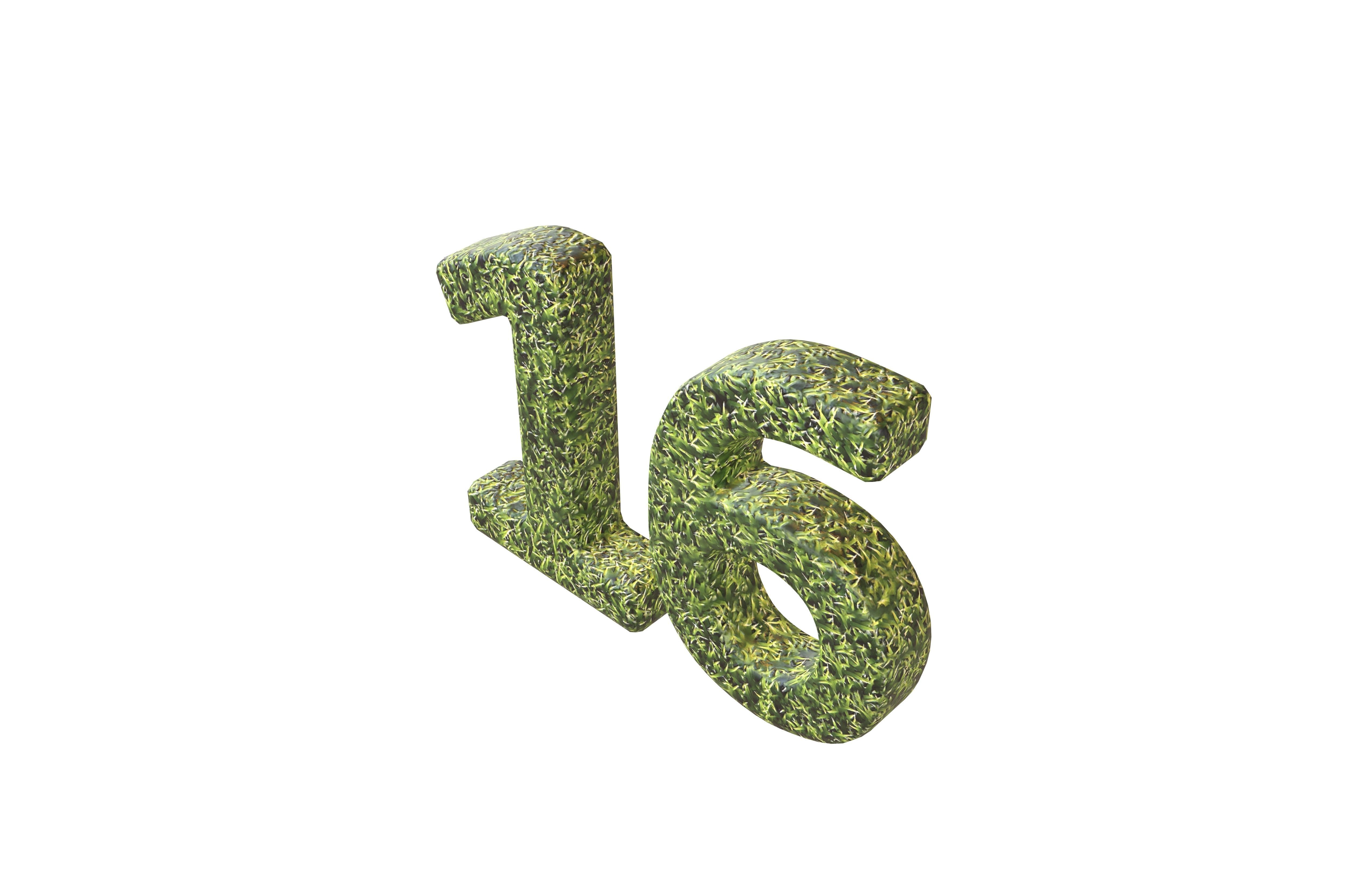 Grass Date Number 16 v2 001 Low-poly 3D model_2