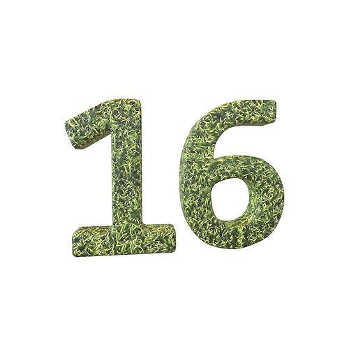 Grass Date Number 16 v2 001 Low-poly 3D model