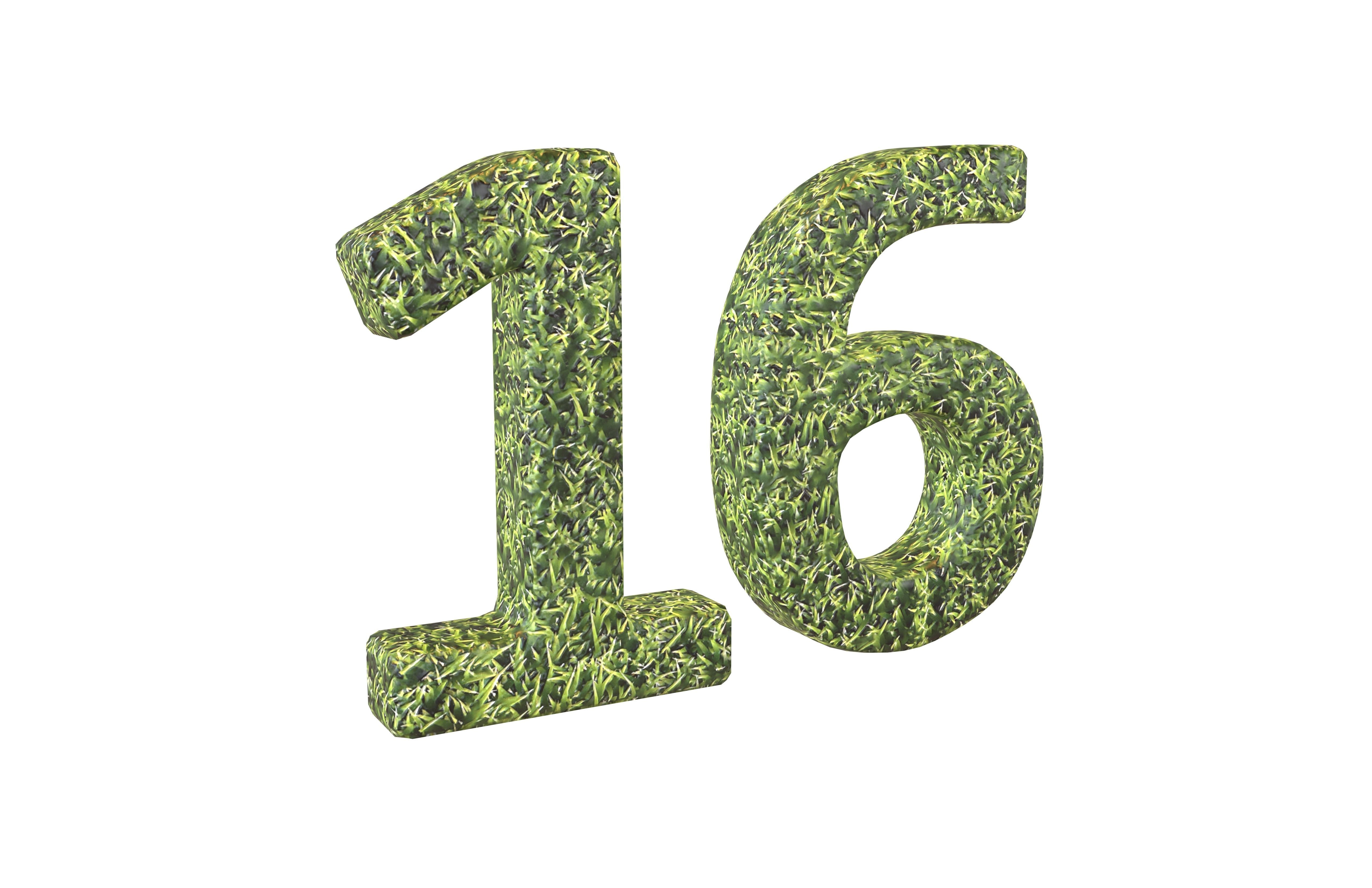 Grass Date Number 16 v2 001 Low-poly 3D model_1