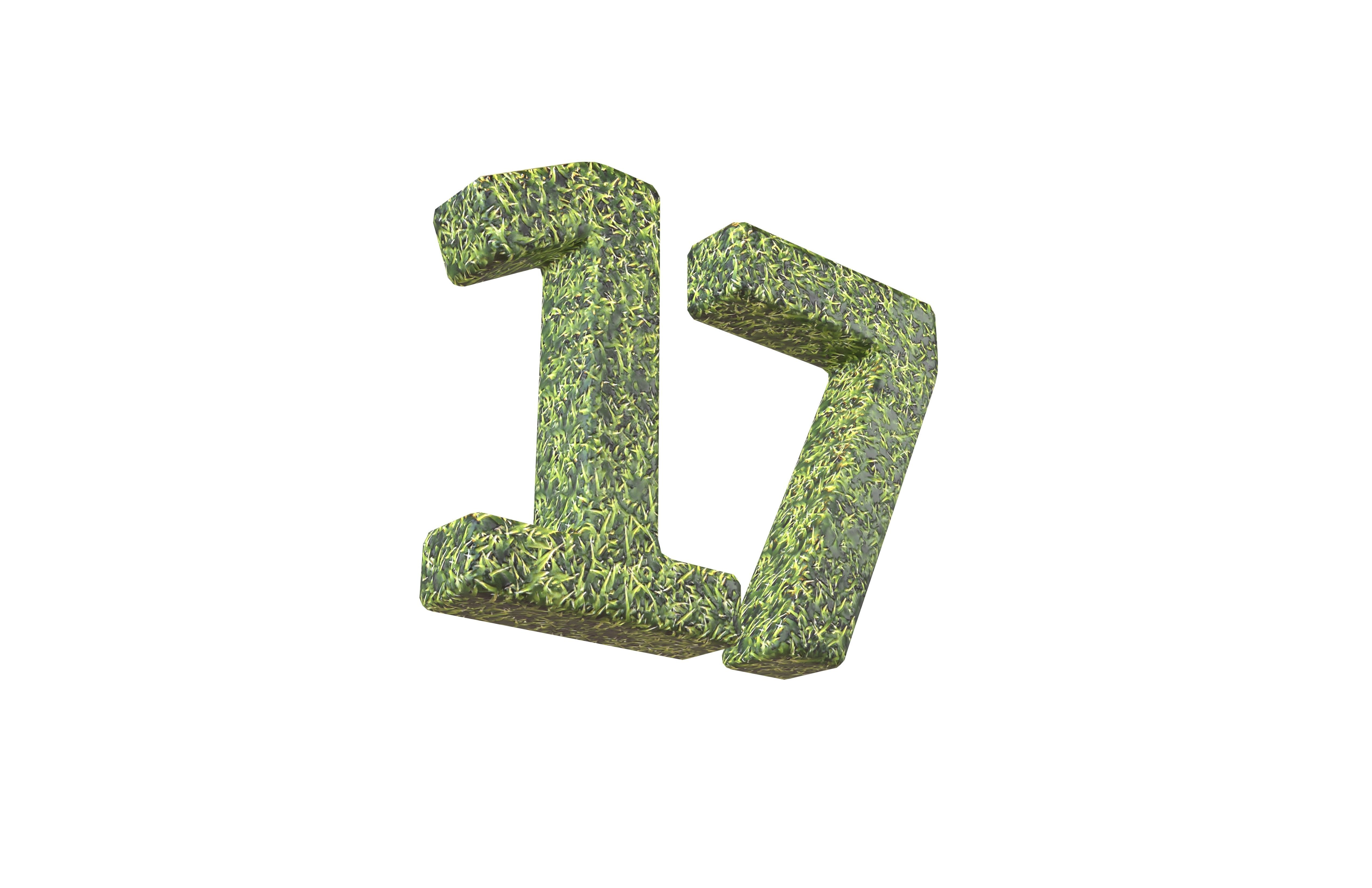 Grass Date Number 17 v2 001 Low-poly 3D model_2