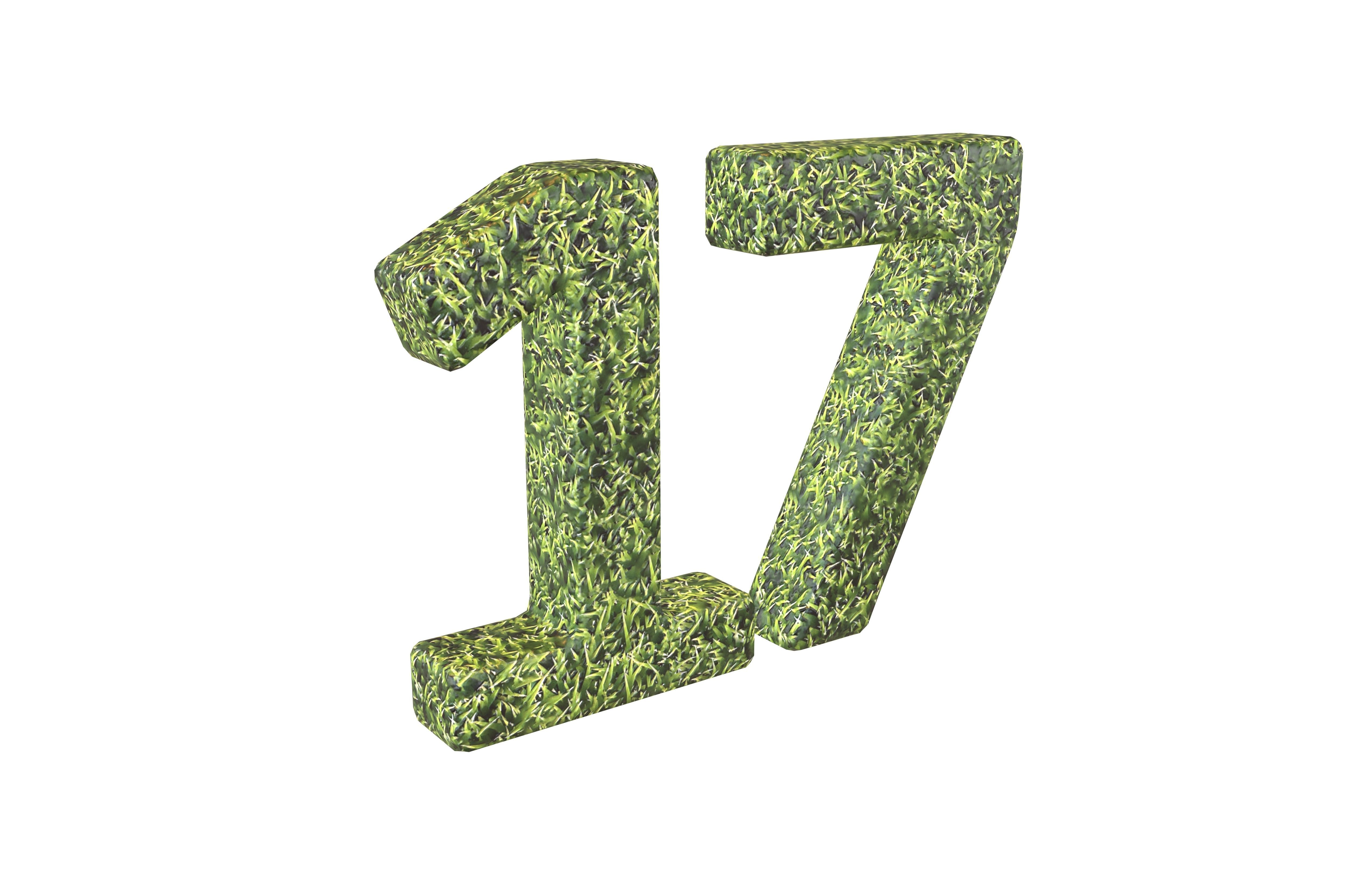 Grass Date Number 17 v2 001 Low-poly 3D model_1