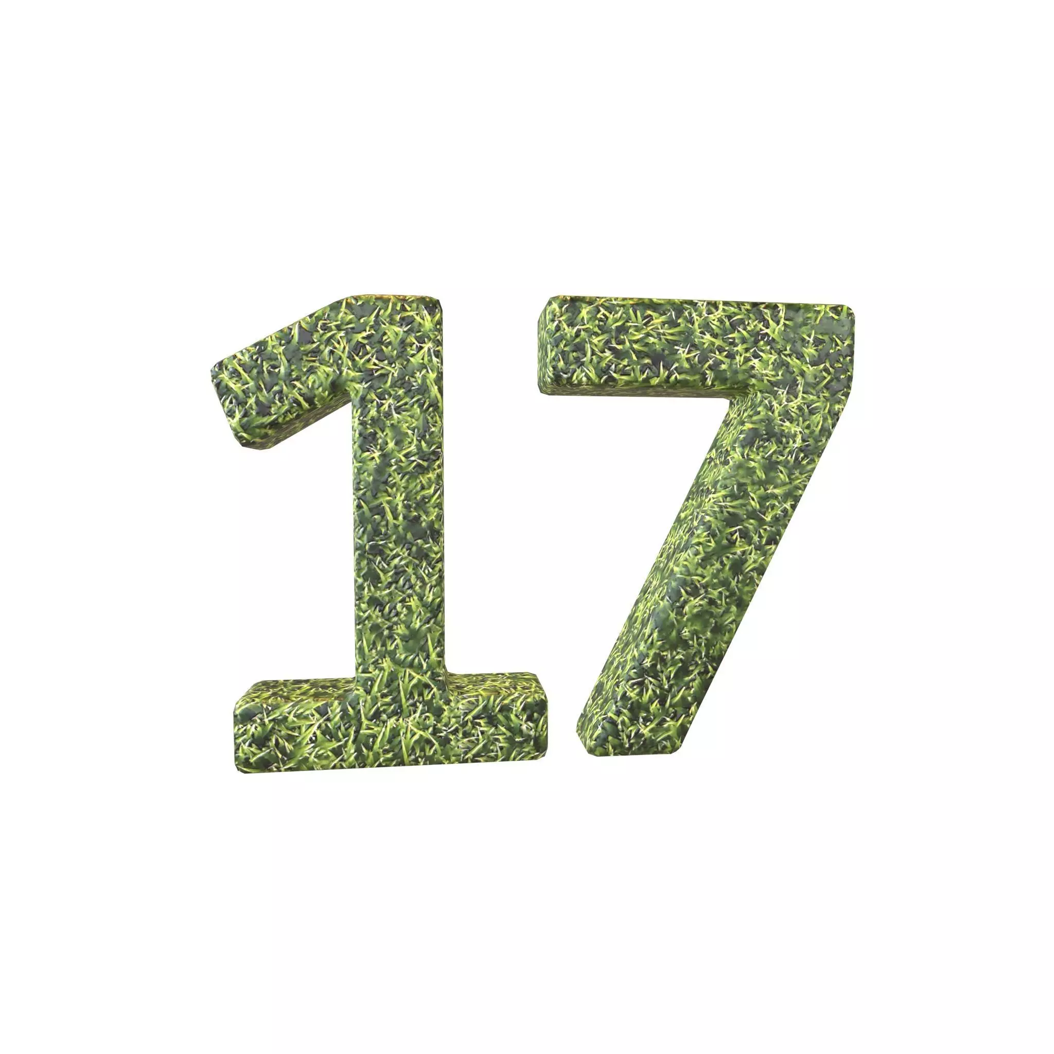 Grass Date Number 17 v2 001 Low-poly 3D model_0