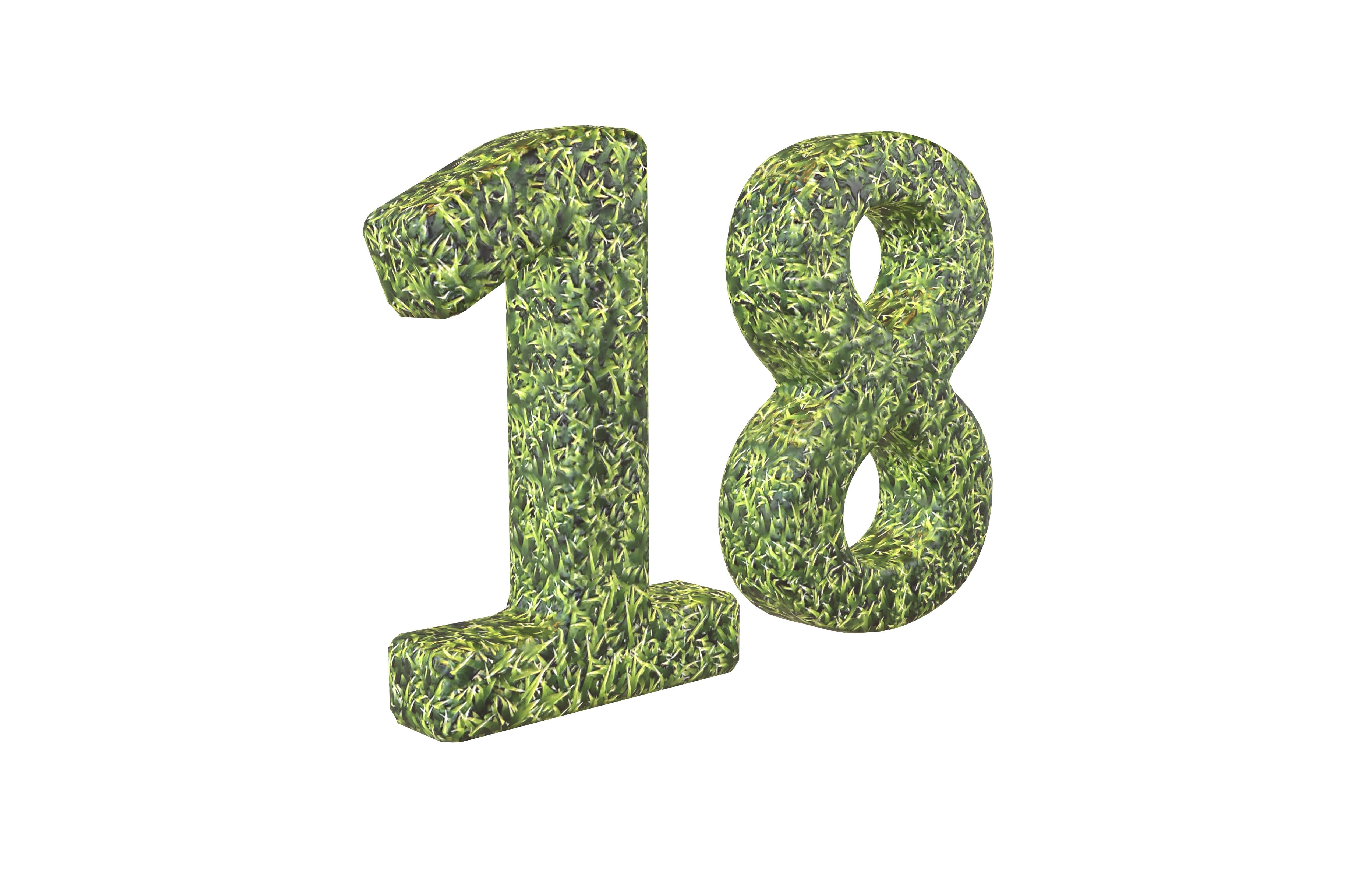 Grass Date Number 18 v2 001 Low-poly 3D model_1