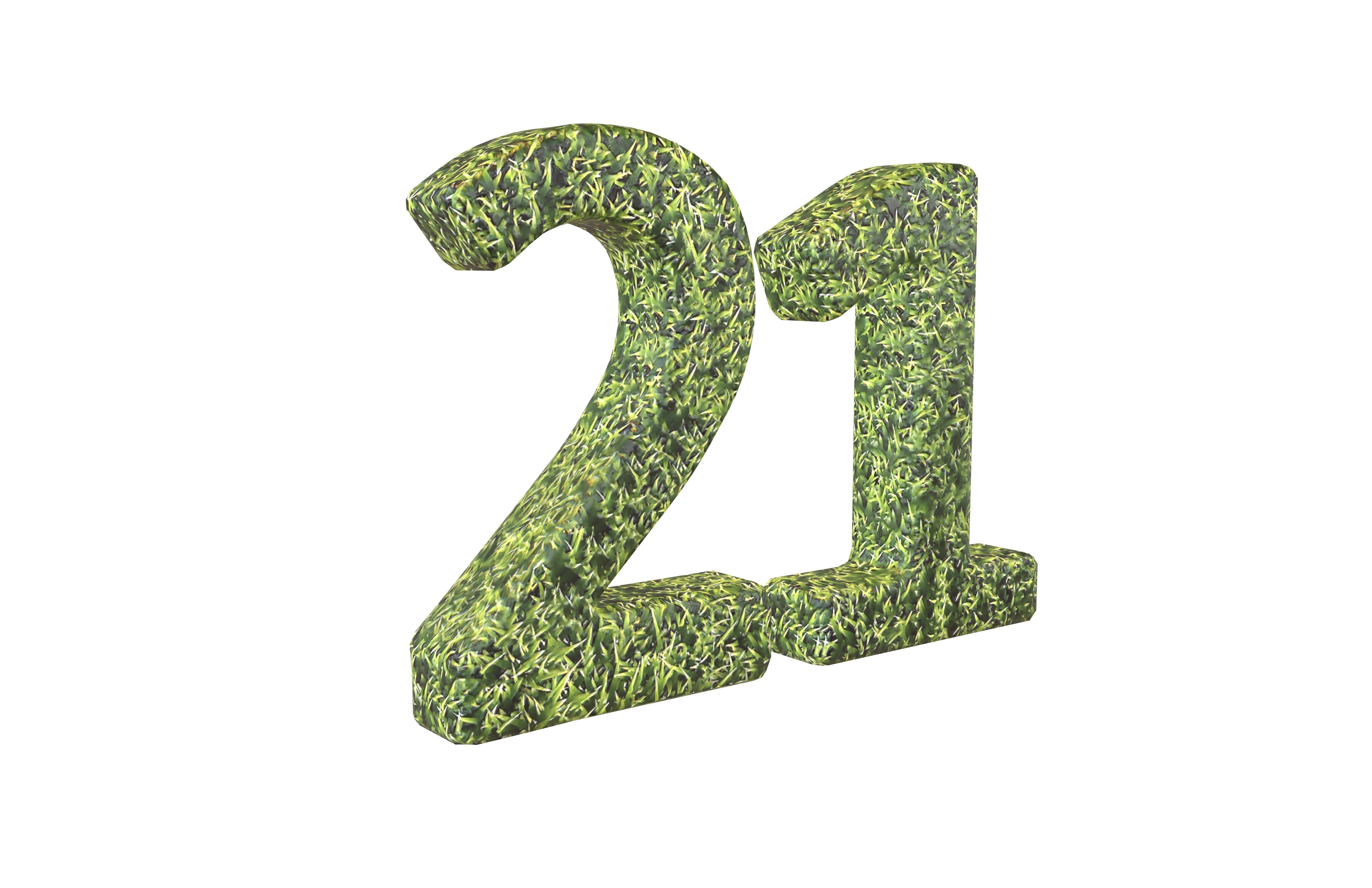 Date Number 21 v2 001 Low-poly 3D model_1