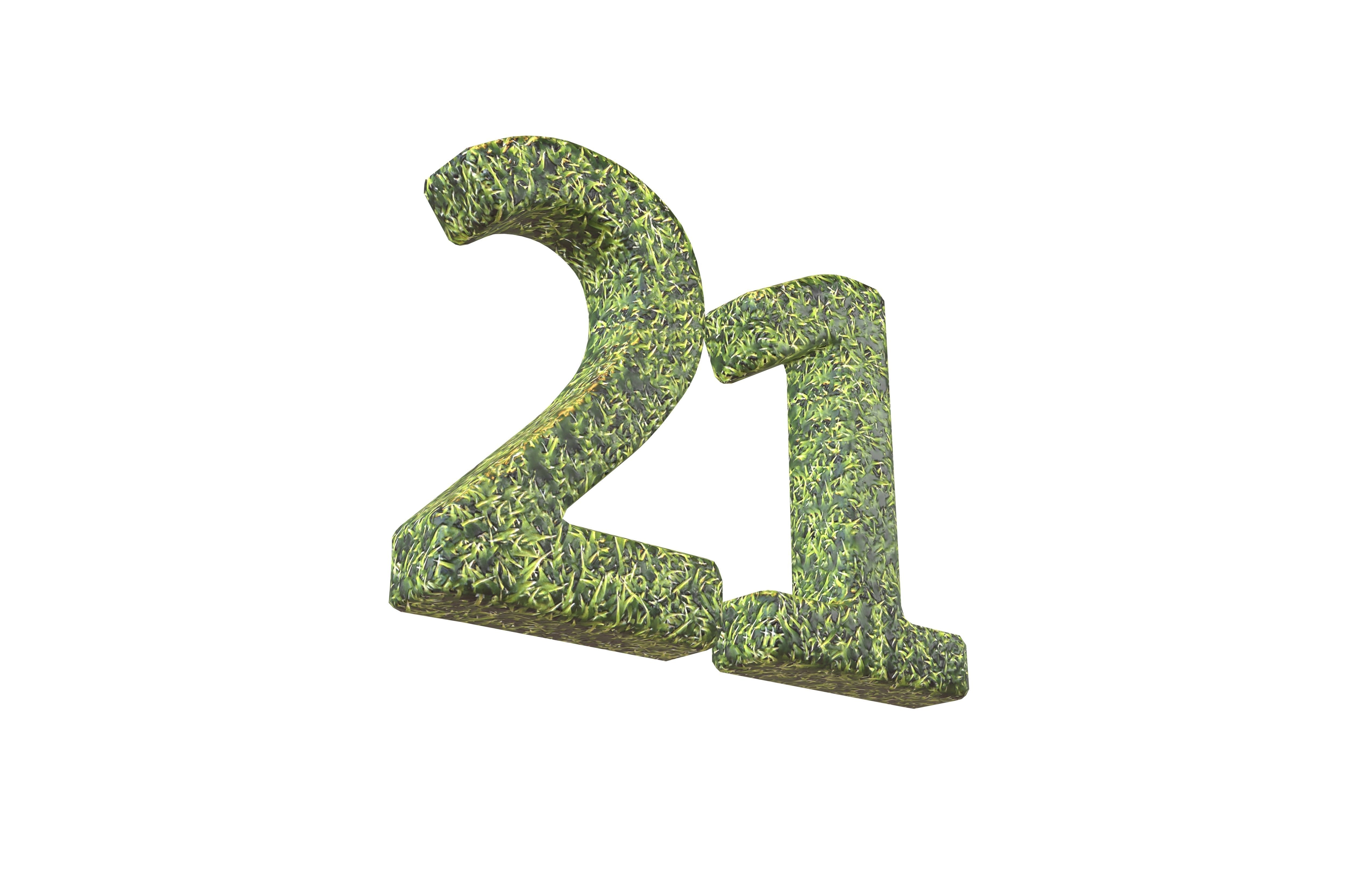 Date Number 21 v2 001 Low-poly 3D model_3