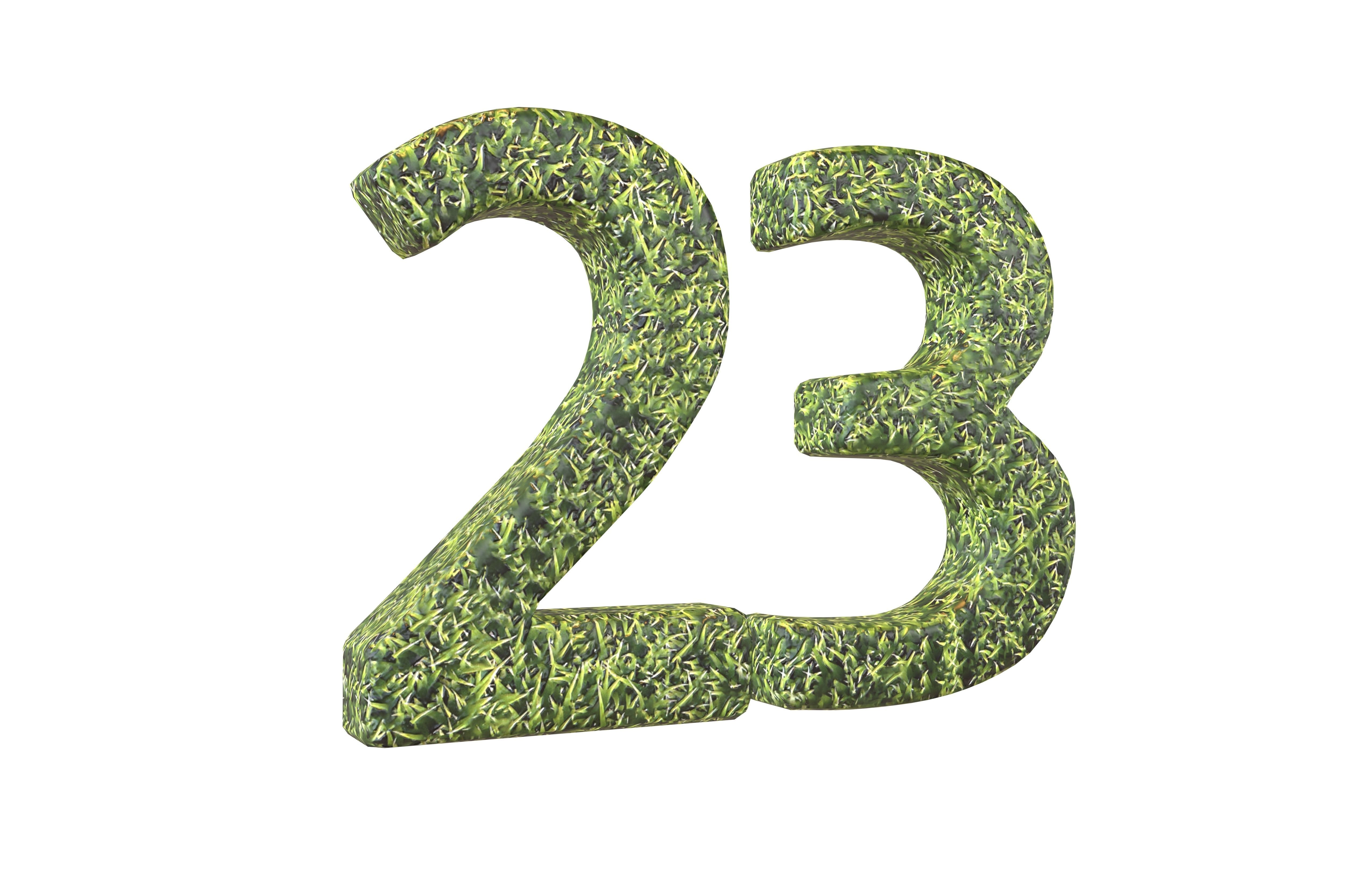 Grass Date Number 23 v2 001 Low-poly 3D model_1