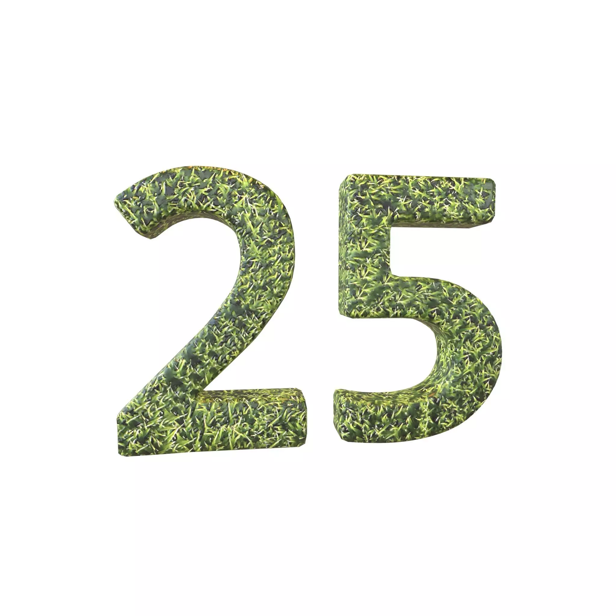 Date Number 25 v2 001 Low-poly 3D model_0