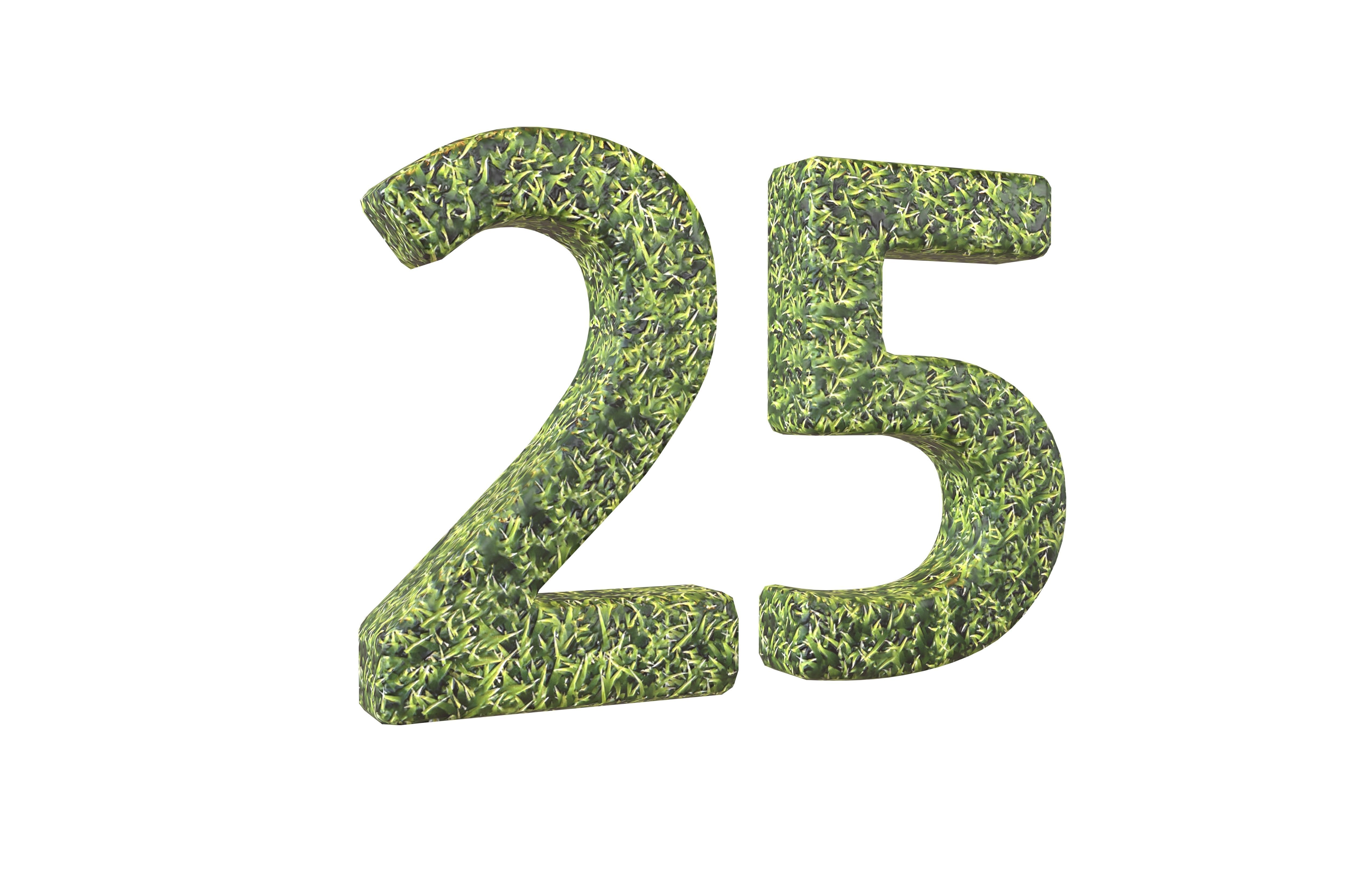 Date Number 25 v2 001 Low-poly 3D model_1